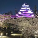 会津若松市追手町、季節ごとに色も変化する鶴ヶ城の夜桜ライトアップ