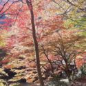 安芸太田町、国の特別名勝にもなっている三段峡の紅葉風景