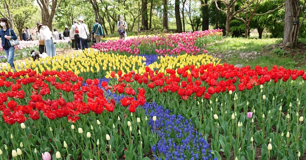 安曇野市堀金、季節ごとに様々な花が咲く国営アルプスあづみの公園