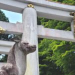 秩父市三峰の三峯神社、全国的にも珍しい狼の狛犬と鳥居の風景