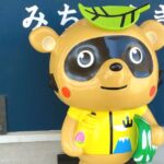 富士川町青柳町、道の駅 富士川にいるマスコットキャラクター、チャリたぬ君