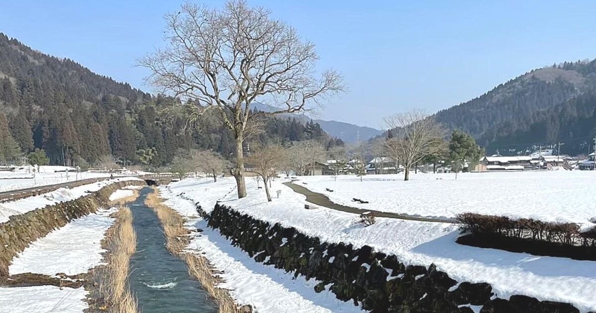 福井市の郊外に広がる、冬の田園風景