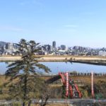 福山市草戸町、福山市を代表する国宝・明王院から見える福山市街地の風景