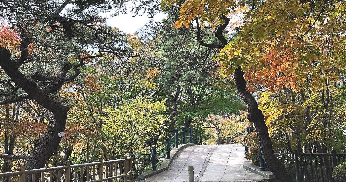 函館市青柳町、秋に染まる函館公園は日本の歴史公園100選や北の造園遺産にも選ばれているスポット