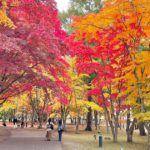 函館市見晴町、紅葉の名所として知られる香雪園（見晴公園）