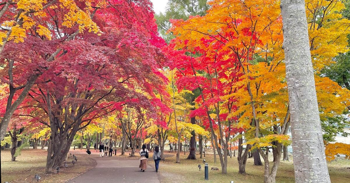 函館市見晴町、紅葉の名所として知られる香雪園（見晴公園）