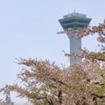 函館市、五稜郭や函館市街を一望できる五稜郭タワー
