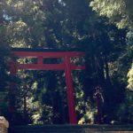 箱根町元箱根、箱根三社の1つに数えられる箱根神社の風景