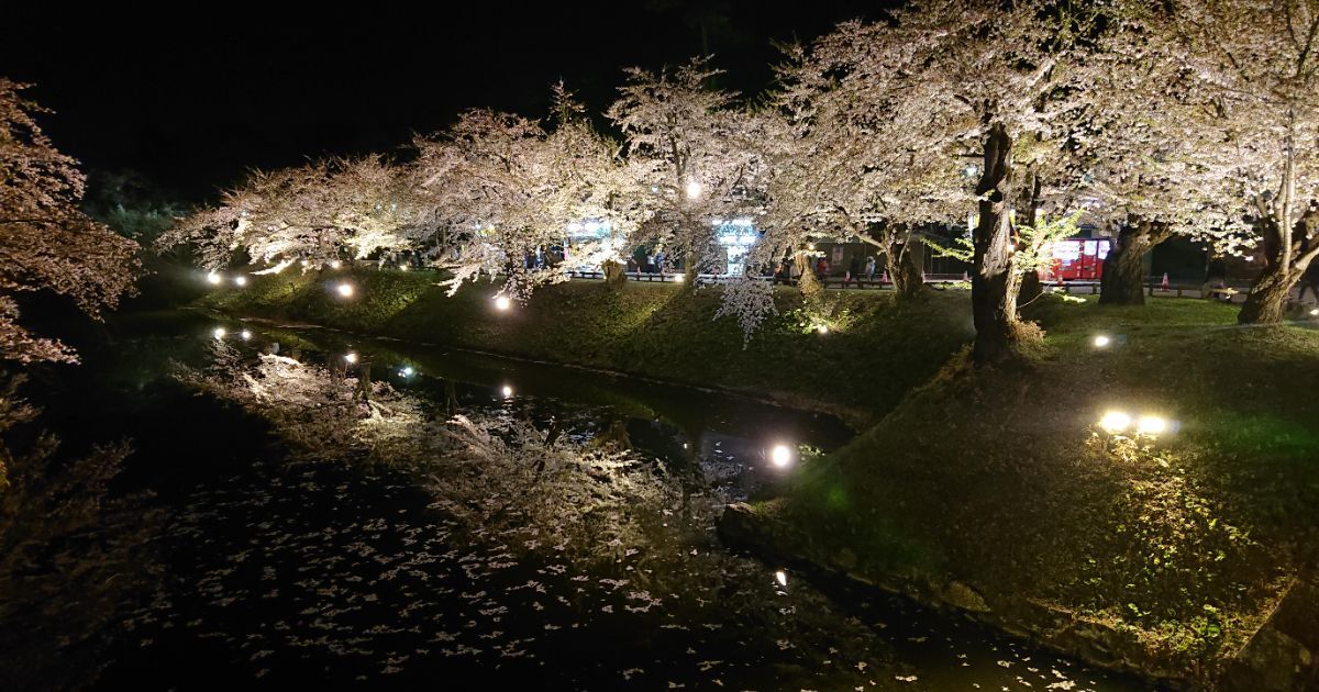 弘前市下白銀町、弘前城を囲む堀一面に美しく咲く夜桜の風景