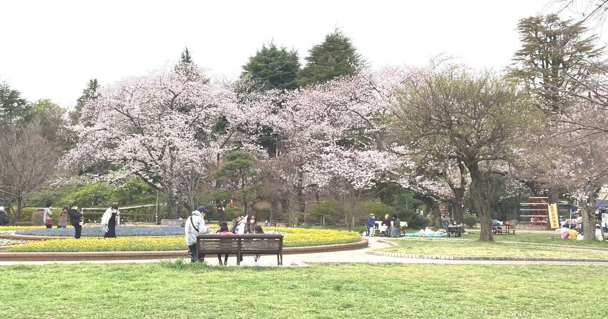 市川市国府台、市内の桜の名所にもなっている里見公園