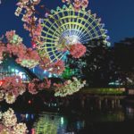 伊勢崎市華蔵寺町、夜桜のライトアップが美しい華蔵寺公園