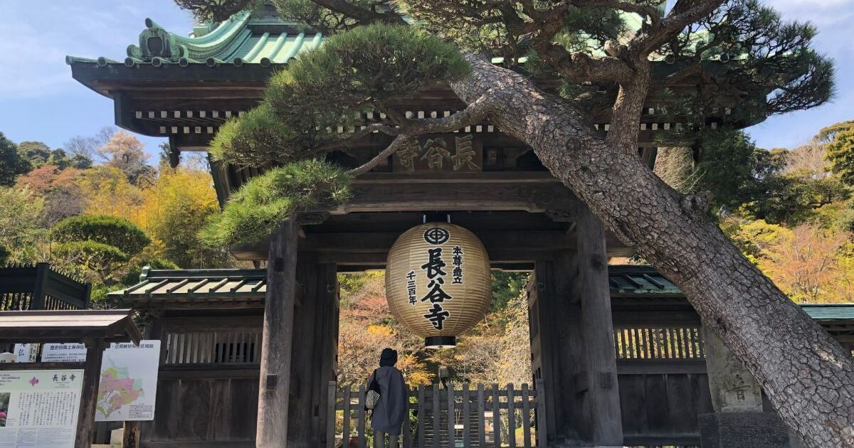 鎌倉市長谷3丁目、鎌倉を代表する観光地の1つ、長谷寺の山門風景