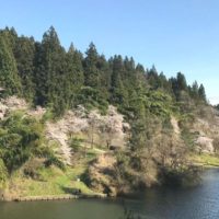 加茂市宮寄上、粟ヶ岳県民休養地（加茂水源地）の風景