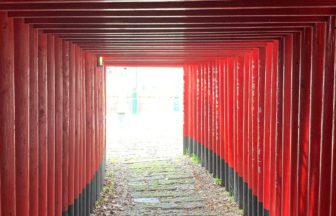 鹿屋市新栄町、トンネルのように立ち並ぶ神徳稲荷神社の千本鳥居