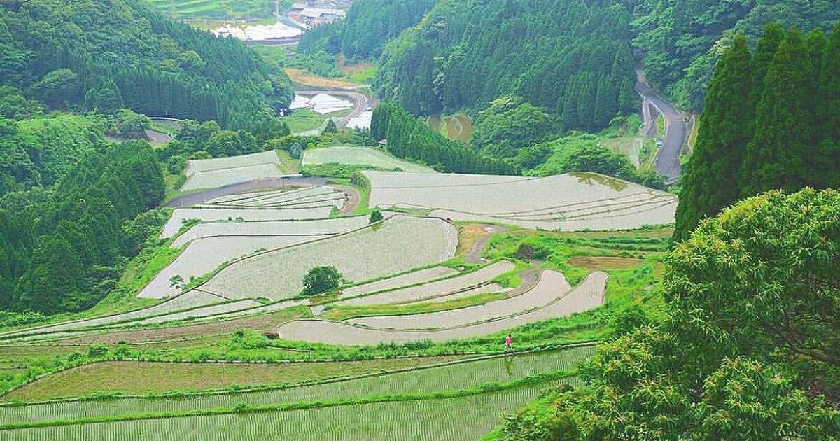 唐津市相知町、日本の棚田百選や重要文化的景観にも選ばれている蕨野の棚田