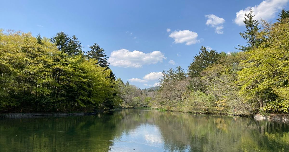 軽井沢町軽井沢、別名 スワンレイクとも呼ばれる雲場池の風景