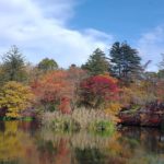 軽井沢町六本辻、木立に囲まれた雲場池