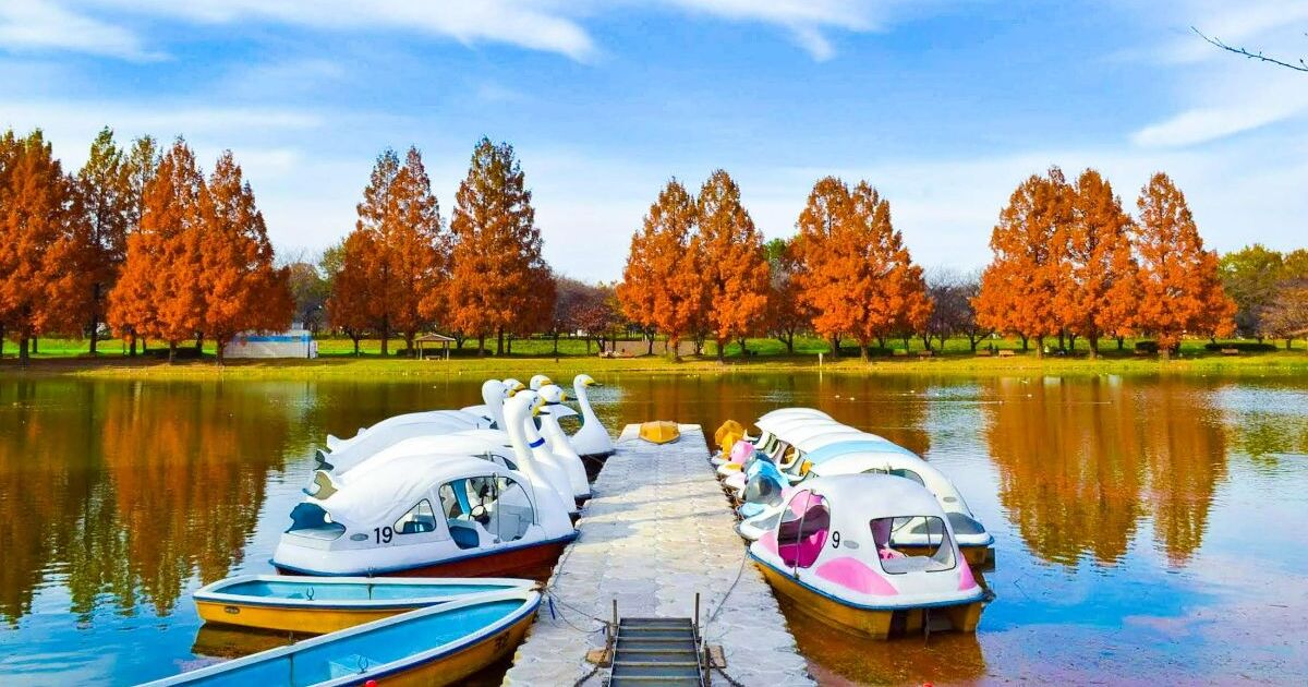 川越市池辺、川越水上公園のボート池