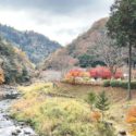 吉備中央町下加茂、紅葉に彩られる景勝地、宇甘渓の風景