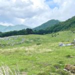 久万高原町西谷、愛媛と高知の県境に位置する雄大な景勝地、四国カルストの風景