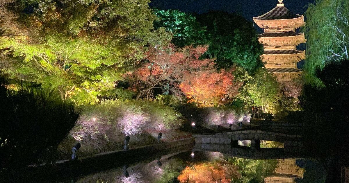 京都市南区にある東寺、五重塔と紅葉のライトアップ