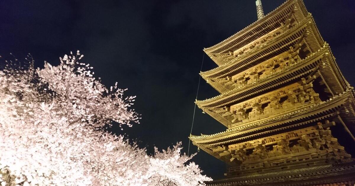 京都市、ライトアップされた東寺の夜桜