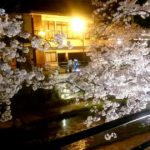 松江市玉湯町、玉造温泉街の夜桜