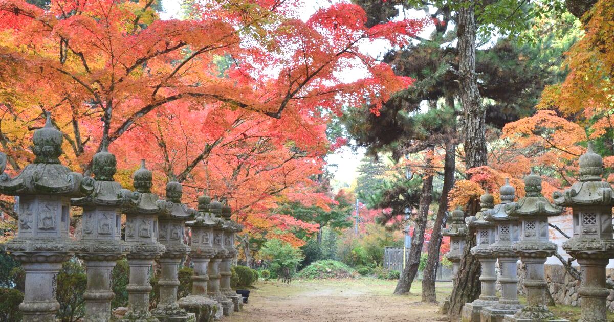 三原市高坂町、広島県内の紅葉の名所として知られ、秋にはライトアップも行われる、佛通寺