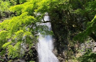 箕面市箕面公園、地元の自然を象徴する名瀑、箕面大滝（落差33m）