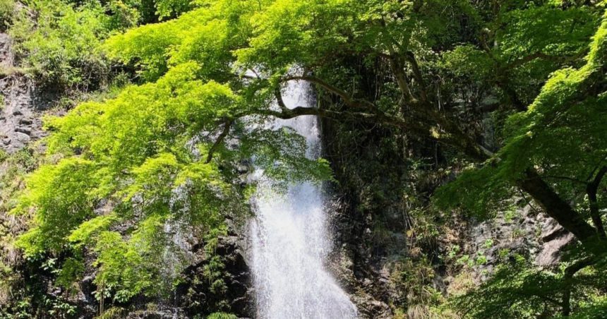 箕面市箕面公園、地元の自然を象徴する名瀑、箕面大滝（落差33m）