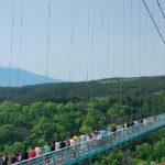 三島市笹原新田、日本最長400mの吊り橋で有名な三島スカイウォーク