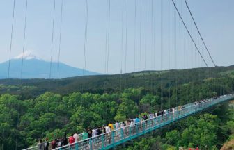 三島市笹原新田、日本最長400mの吊り橋で有名な三島スカイウォーク