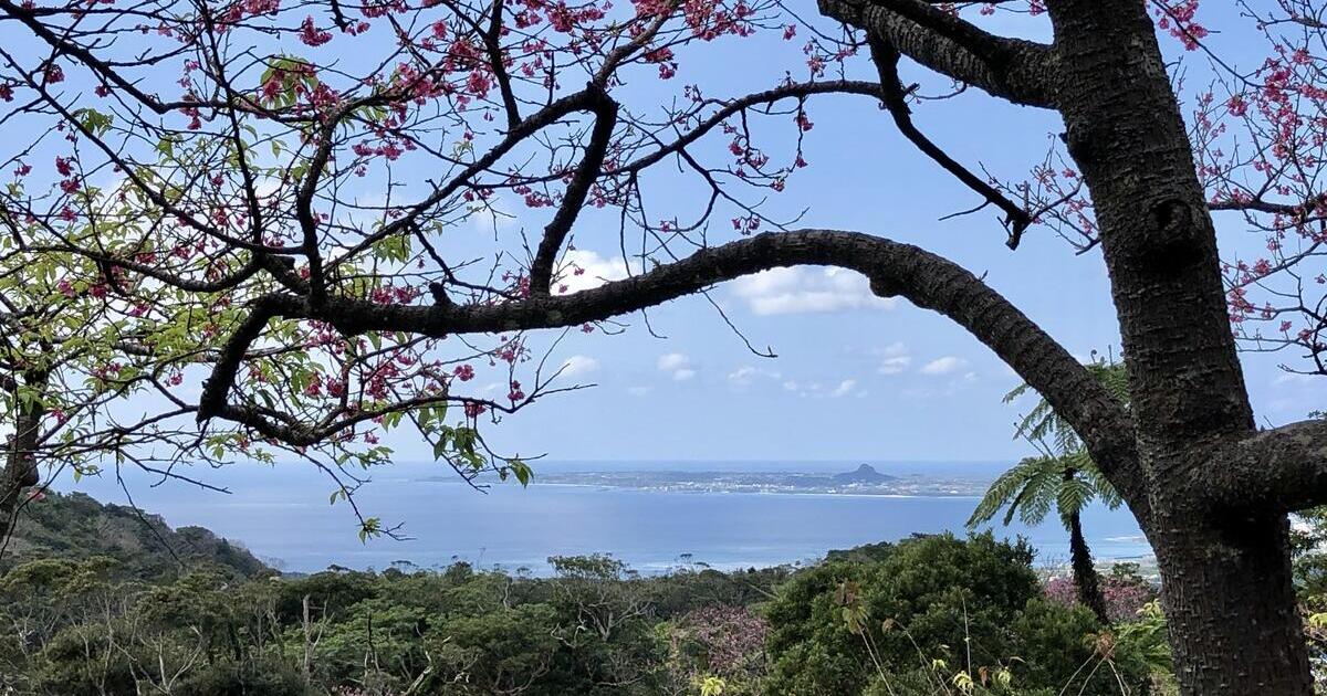 本部町、八重岳から見える伊江島タッチューの景色