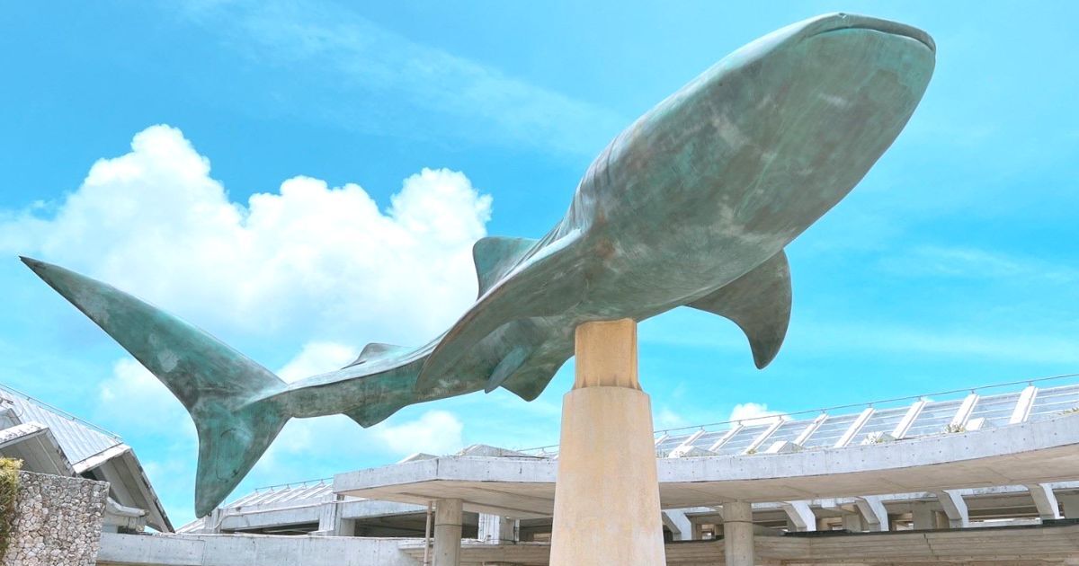本部町石川、沖縄美ら海水族館の入口に建つ象徴、ジンベエザメのモニュメント