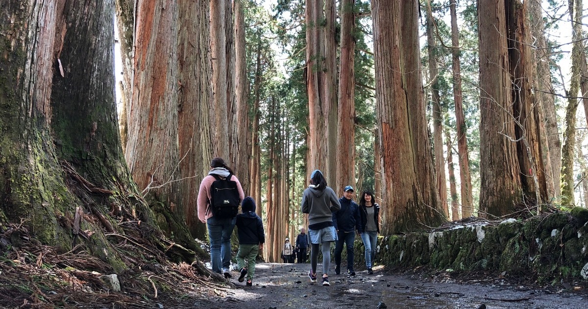 長野市戸隠、戸隠神社の奥社へと続く約500mの杉並木の参道
