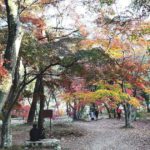 長瀞町、紅葉シーズンの月の石もみじ公園の風景