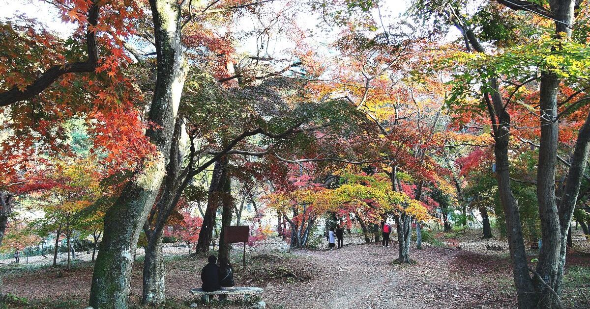 長瀞町、紅葉シーズンの月の石もみじ公園の風景