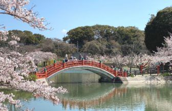 中間市、春には約1000本の桜が咲く垣生公園