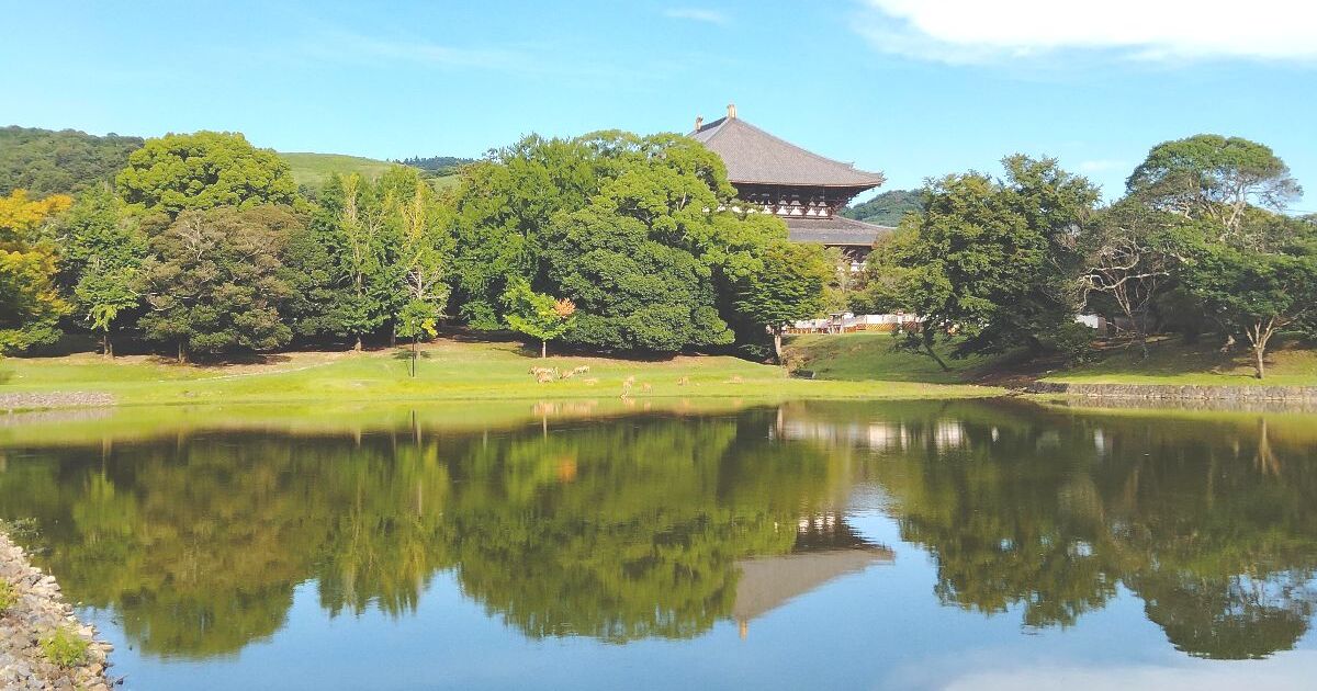 奈良市雑司町、国宝・東大寺大仏殿を望む大仏池の風景