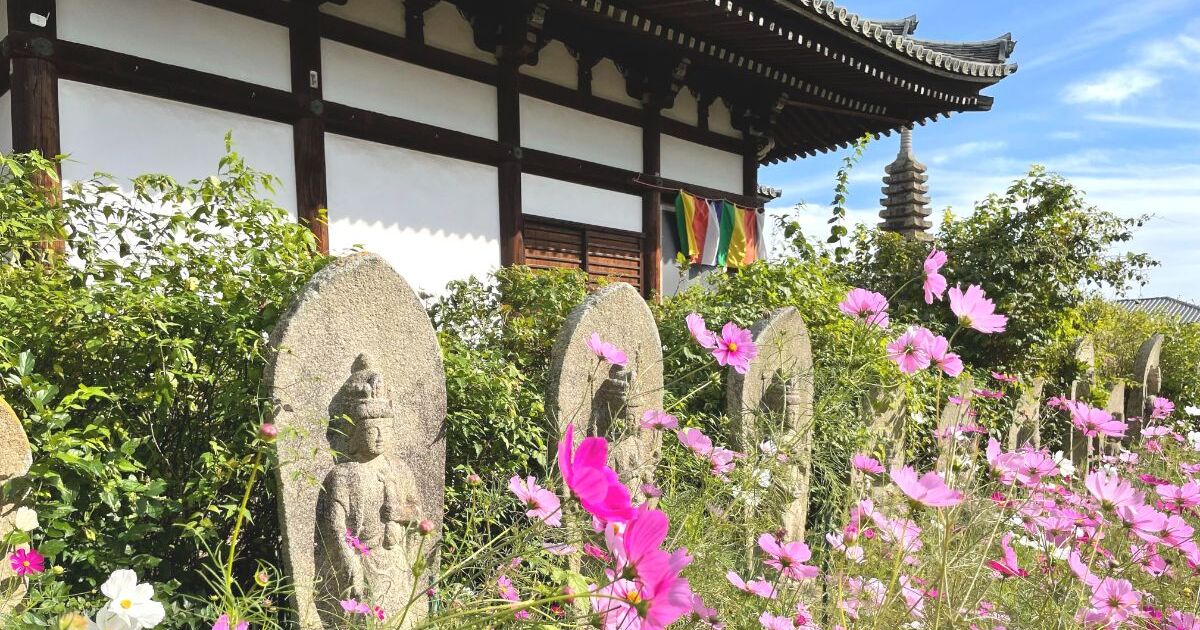 奈良市般若寺町、コスモス寺とも呼ばれている、飛鳥時代創建の般若寺