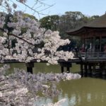 奈良市高畑町、奈良公園の鷺池に浮かぶ檜皮葺きの六角堂、浮見堂