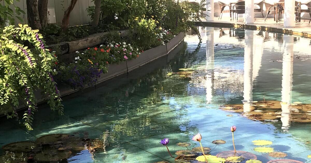 鳴門市、大塚国際美術館のモネの庭の風景