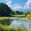 日光市瀬川、日光だいや川公園のやすらぎの池