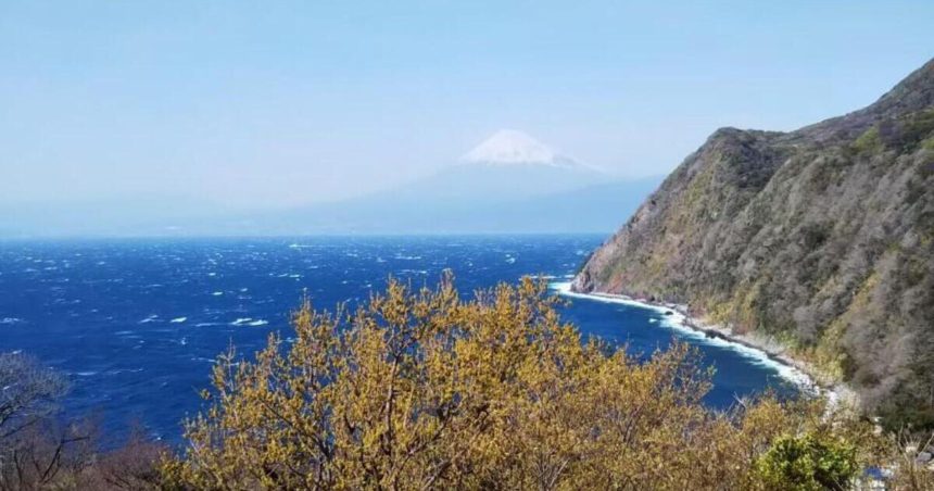 沼津市井田、煌めきの丘から望む富士山