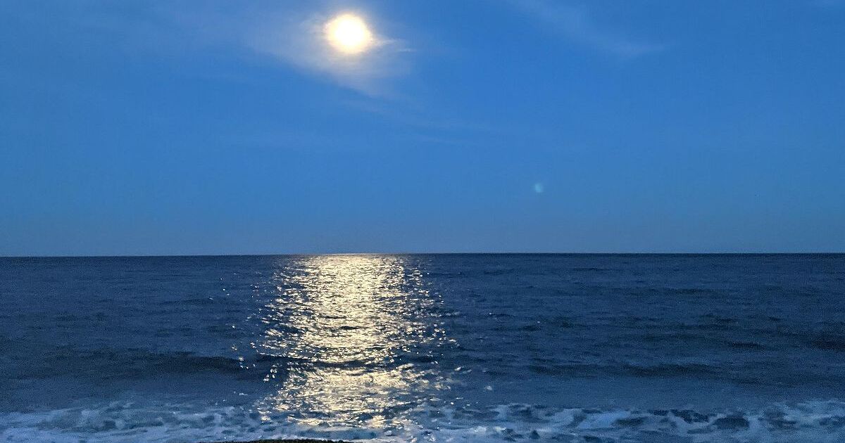 小田原市本町、明治天皇が訪れて以来、御幸の浜と呼ばれるようになった海岸から見る月夜の風景
