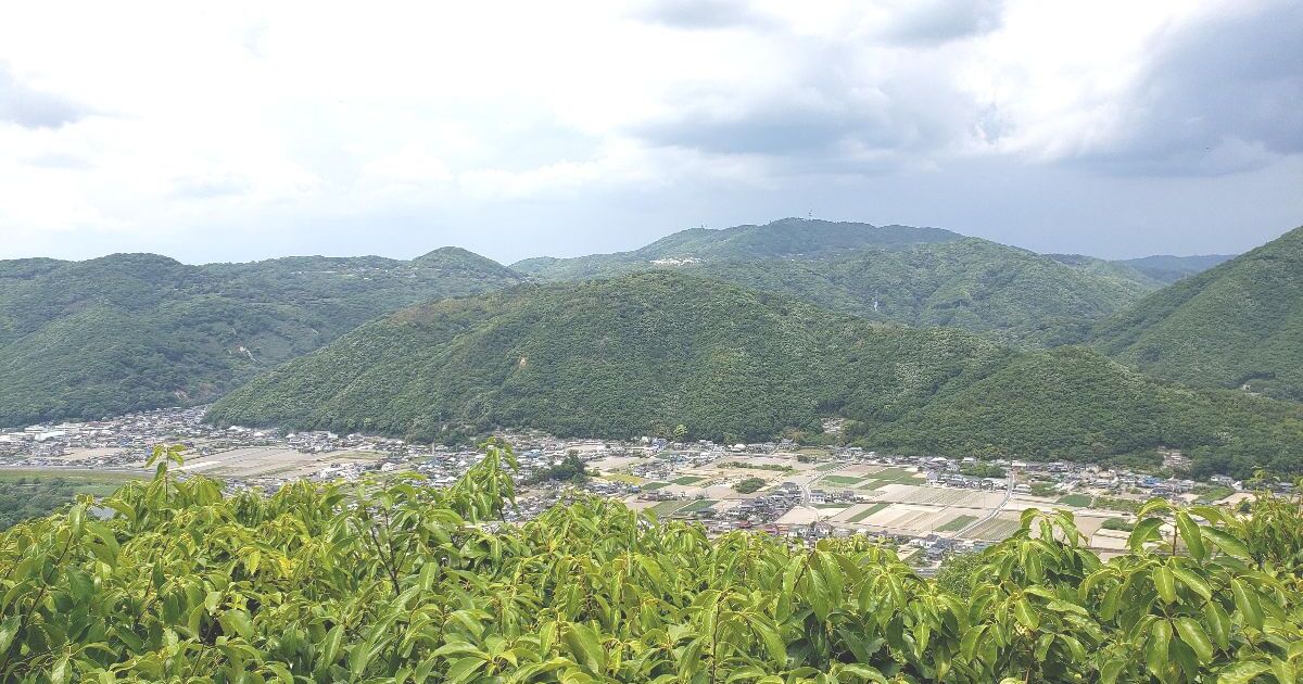 岡山市中区四御神、市内北東部に位置する龍ノ口山から見える風景