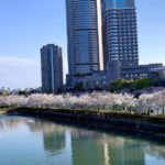大阪市都島区、大阪ビジネスパークと桜の並木道の景色