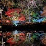 奥州市江刺、歴史公園えさし藤原の郷の紅葉ライトアップ