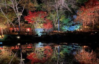 奥州市江刺、歴史公園えさし藤原の郷の紅葉ライトアップ