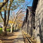 酒田市山居町、秋色に彩られる山居倉庫（米穀倉庫）、旧藩主の酒井家によって建てられた国の史跡
